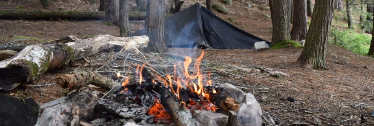 Moss and Mosquito Nomads