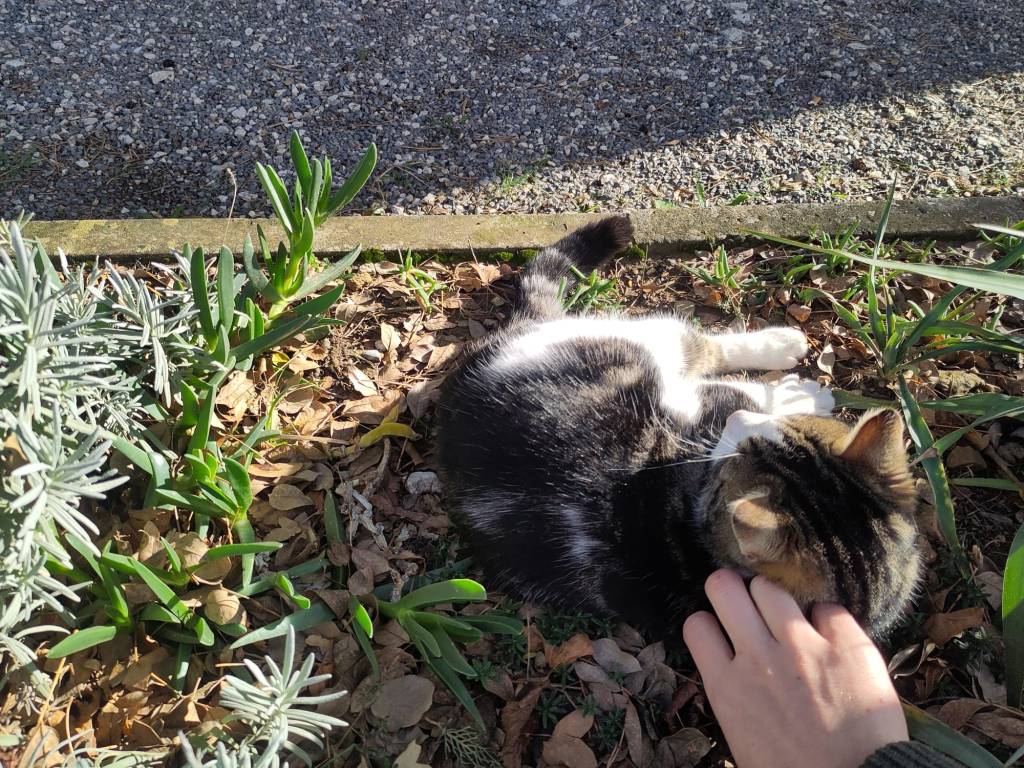 Gastfreundschaft und Sightseeing in&nbsp;Kroatien